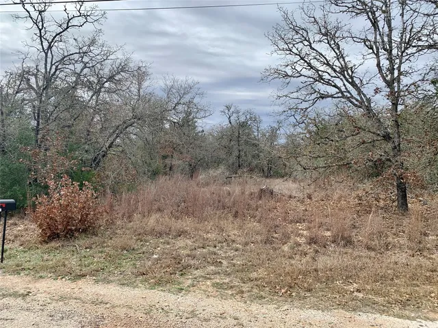 a view of a dry yard with trees in the background