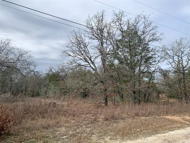a view of a dry yard with trees