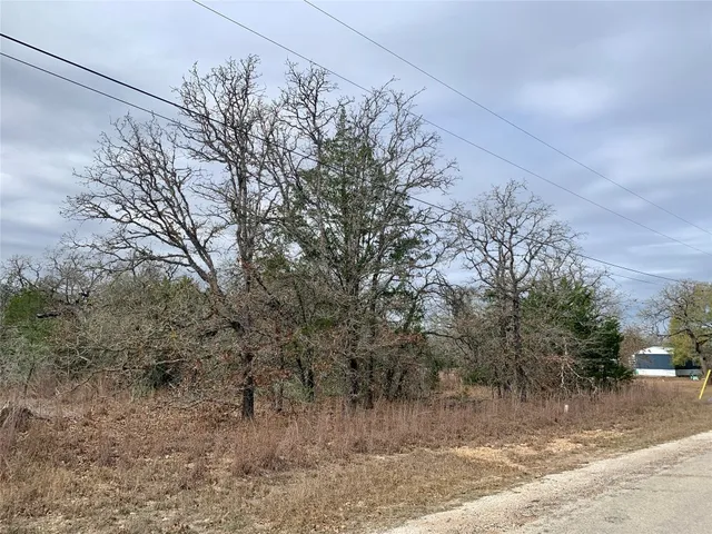 a view of a dry yard with trees
