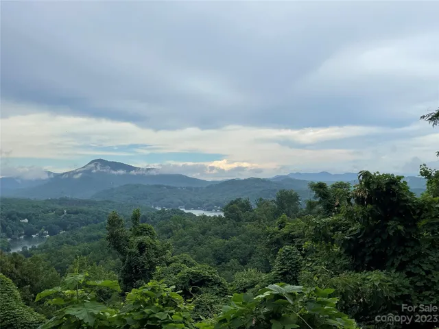an aerial view of houses covered in trees