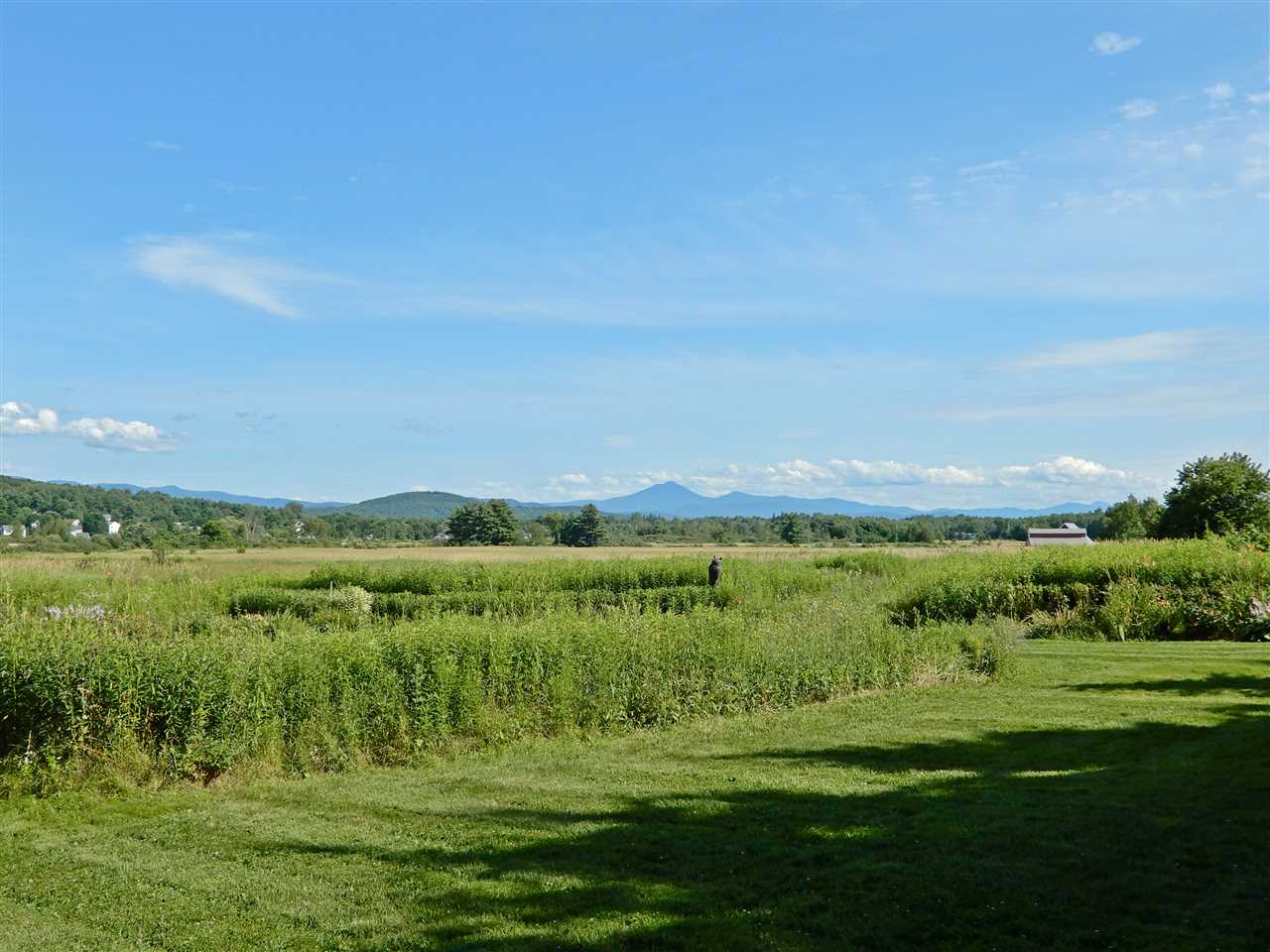 103 Towers Road Essex, VT 05452 - Photo 4 of 21 Gallery Image 4