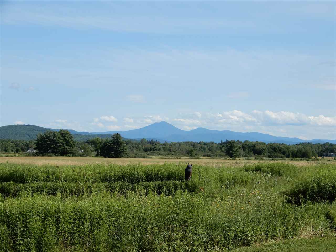 103 Towers Road Essex, VT 05452 - Photo 5 of 21 Gallery Image 5