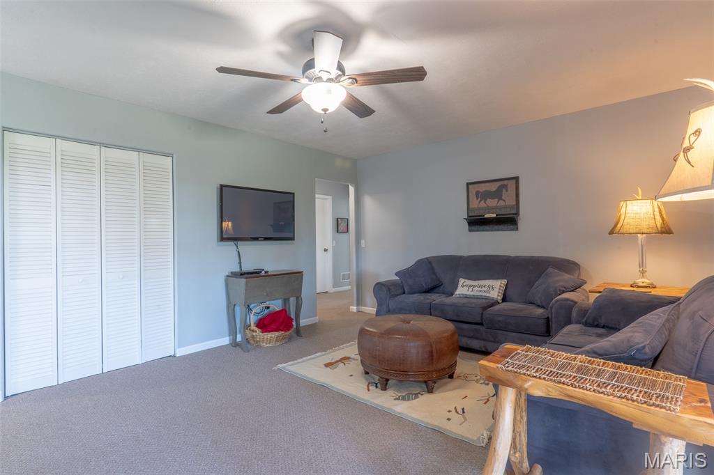 174 Last Resort Road Galena, MO 65656 - Photo 41 of 45