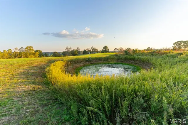 $1,350,000 | 174 Last Resort Road, Galena, MO 65656