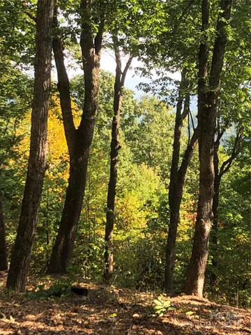 $225,000 | 108 Fawncrest Court, Unit 51R, Flat Rock, NC 28731