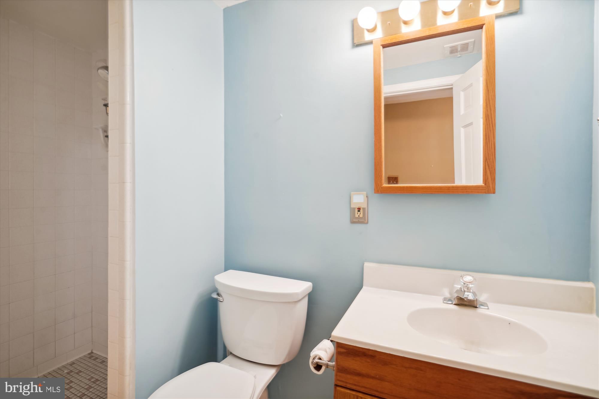 12123 Stirrup Road Reston, VA 20191 - Photo 34 of 53 Lower Level Bath