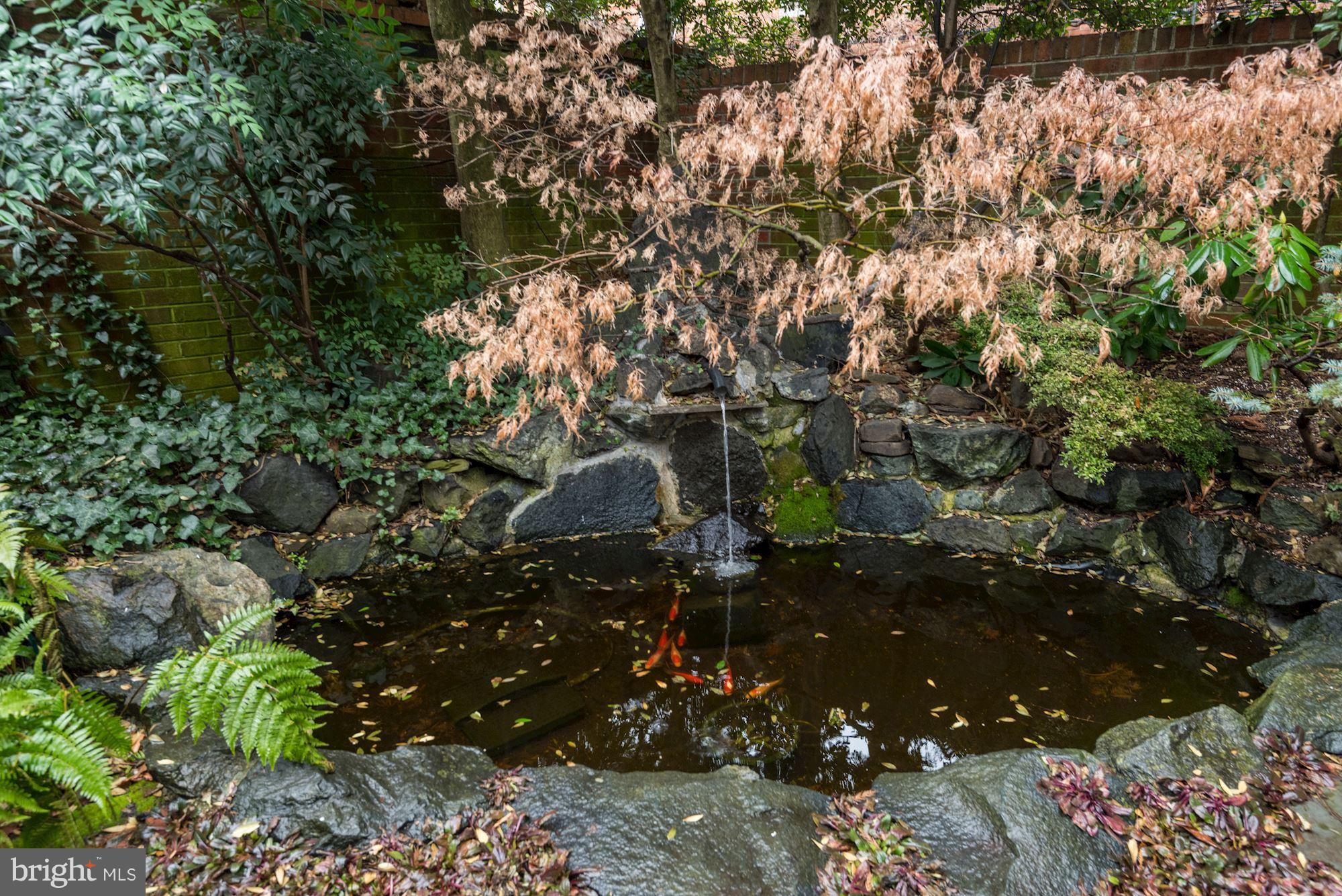 1610 32nd Street Northwest Washington, DC 20007 - Photo 25 of 27 a backyard of a house with a tree