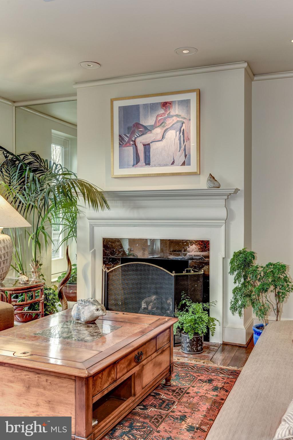 1610 32nd Street Northwest Washington, DC 20007 - Photo 5 of 27 a living room with furniture and a fireplace