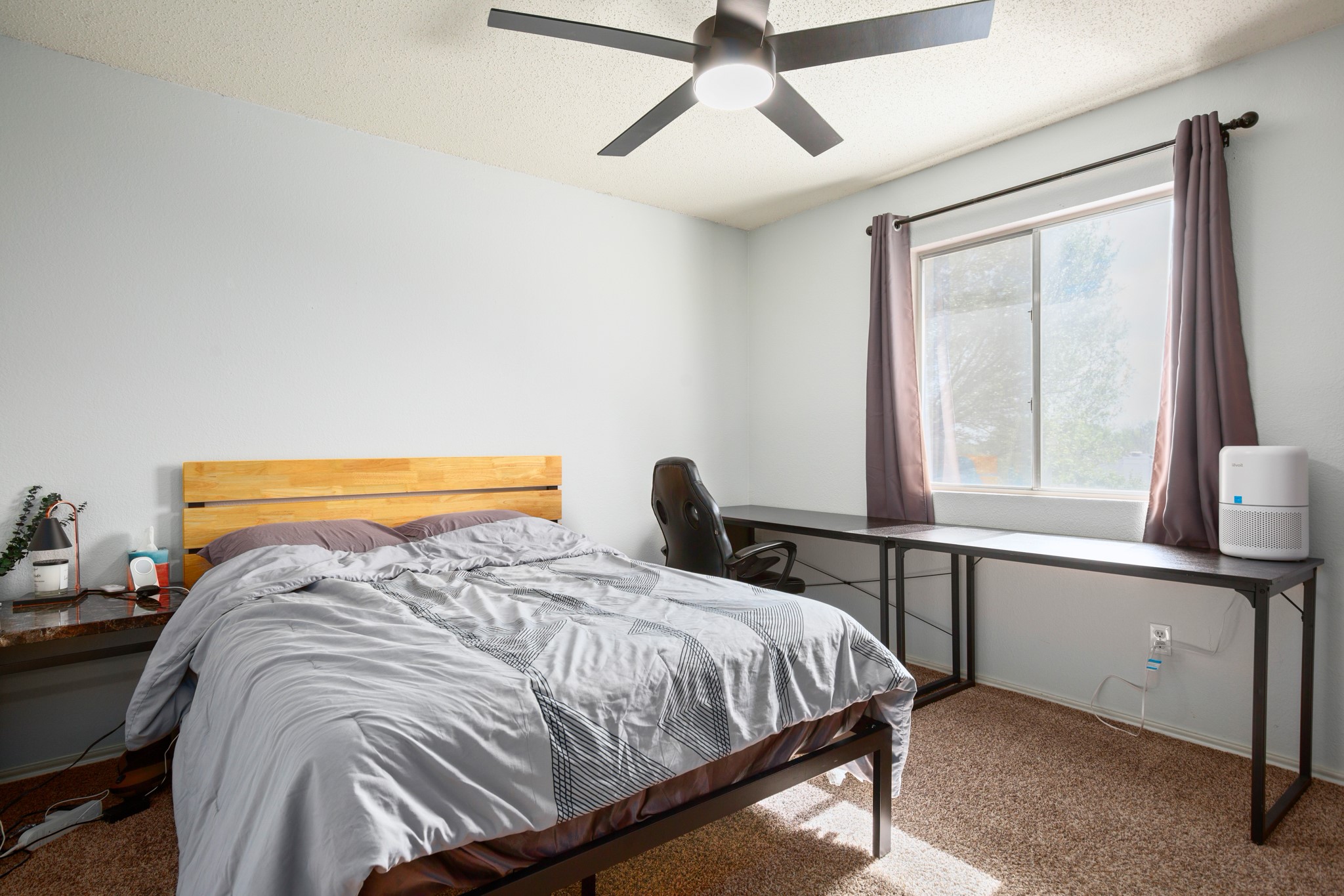 13803 Randalstone Drive Pflugerville, TX 78660 - Photo 19 of 27 Bedroom with carpet, a ceiling fan, and a textured ceiling