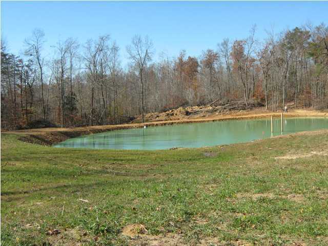 869 Jock Road Bee Spring, KY 42207 - Photo 4 of 6 Additional Photo