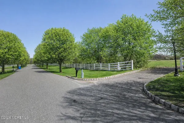 a view of a park with large trees