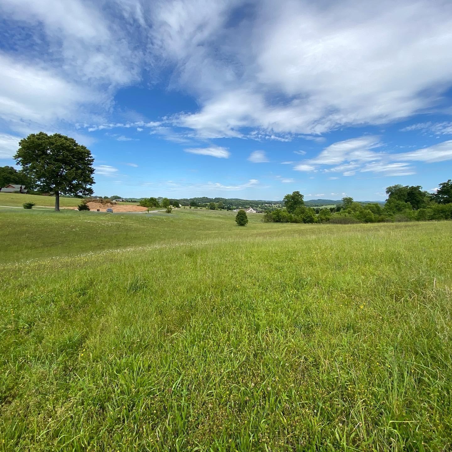0 Ranch Road Blaine, TN 37709 - Photo 9 of 9 Gallery Image 9