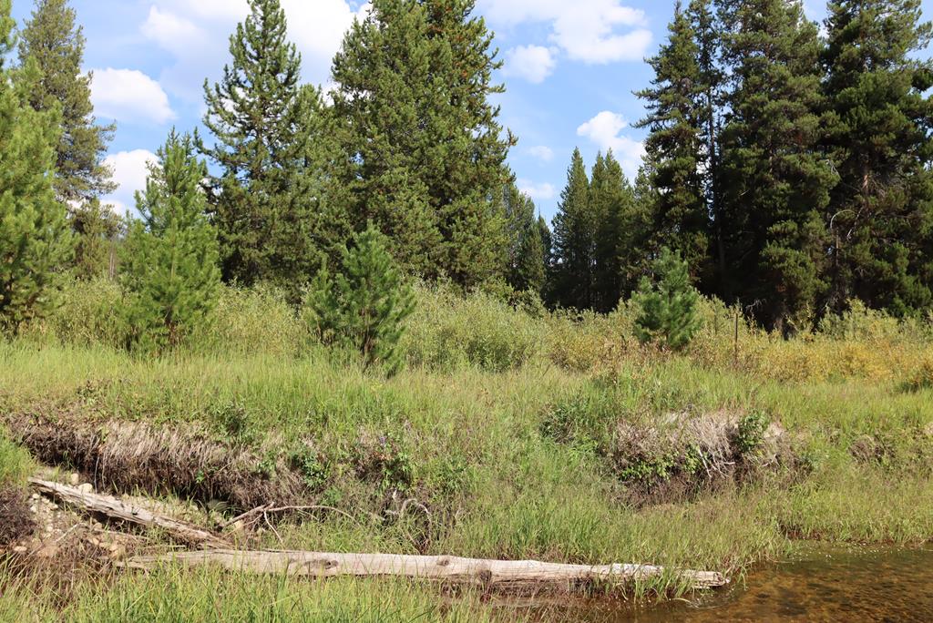 L49 Secesh River Road, Unit 49 McCall, ID 83638 - Photo 10 of 12