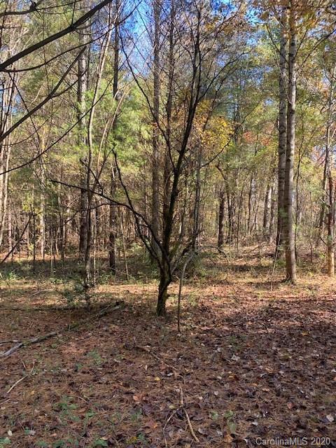 63 Clark Road, Unit LOT 2 Hendersonville, NC 28792 - Photo 5 of 8 Gallery Image 5