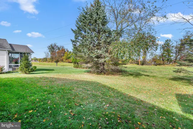 a view of a big yard with large trees