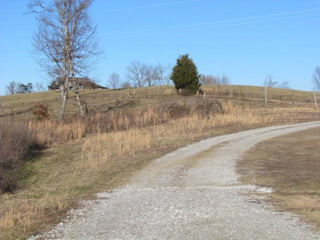 3283 Laurel Lake Road North London, KY 40744 - Photo 8 of 25 Photo 8