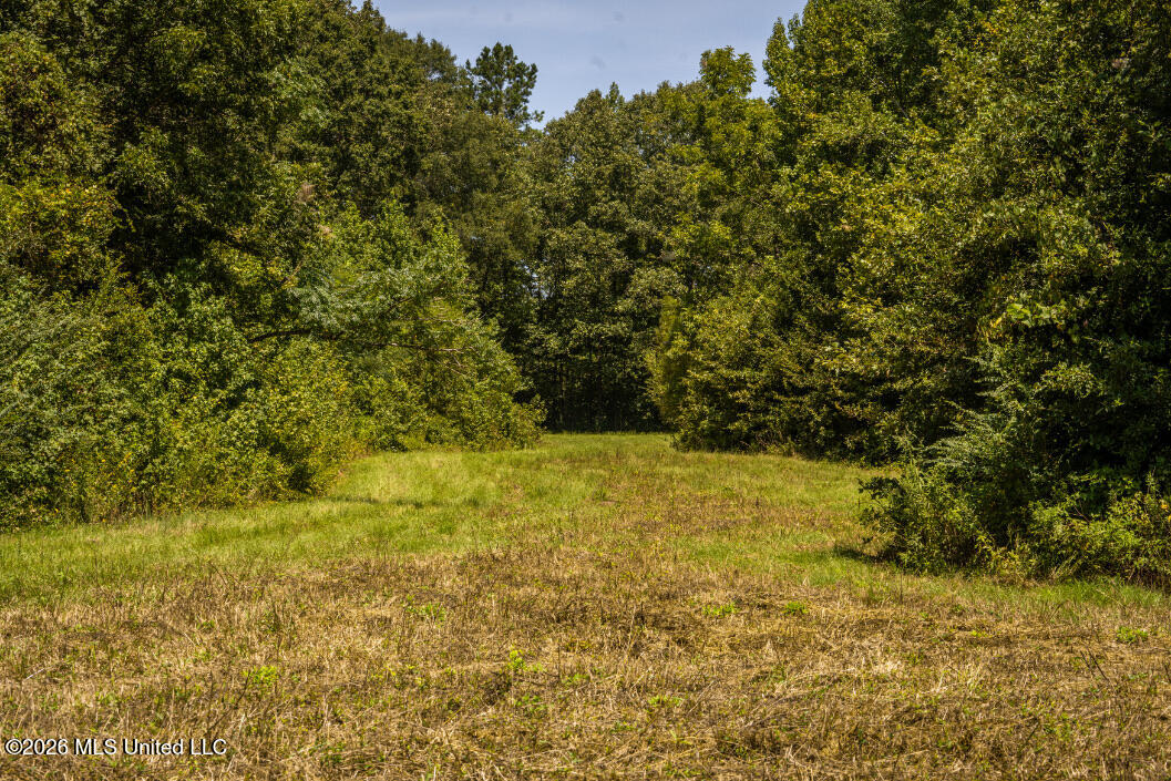 5056 Bethesda Road Crystal Springs, MS 39059 - Photo 44 of 48 DSC01843