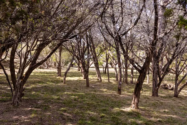 $725,000 | 111 North Cloud Drive, Kerrville, TX 78028