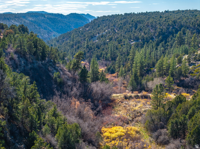 6 South N Frk Road Orderville, UT 84758 - Photo 16 of 68 View of mountain background with a heavily wooded area