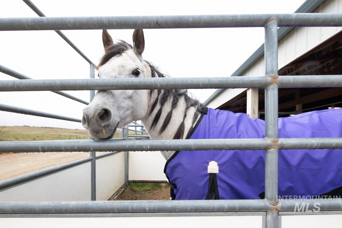 6451 Little Freezeout Road Caldwell, ID 83607 - Photo 24 of 50