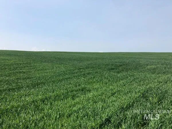 $3,599,000 | 6451 Little Freezeout Road, Caldwell, ID 83607