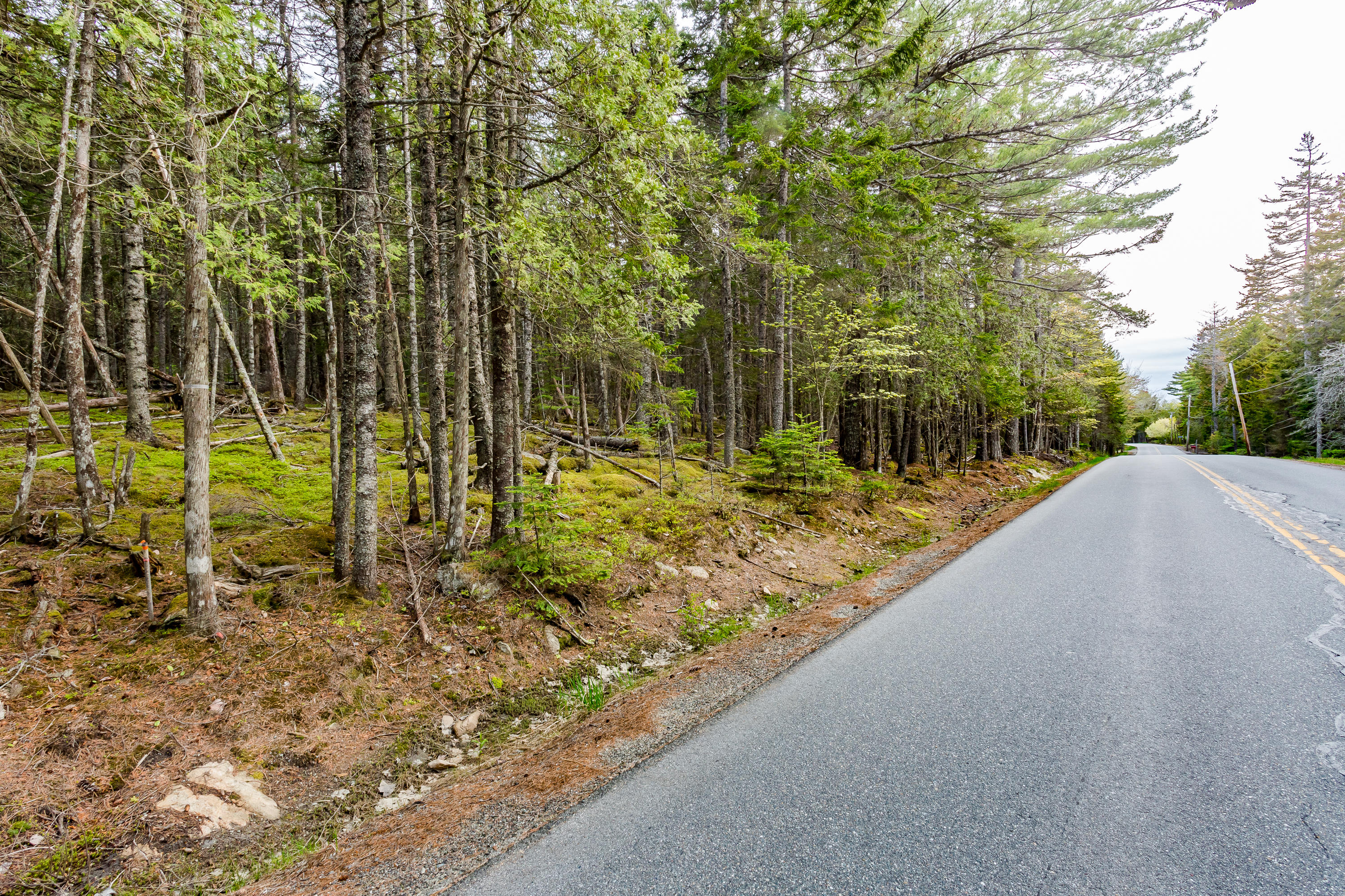 594 Indian Point Road Bar Harbor, ME 04609 - Photo 5 of 7 50-10EagleRidgeLn-KS