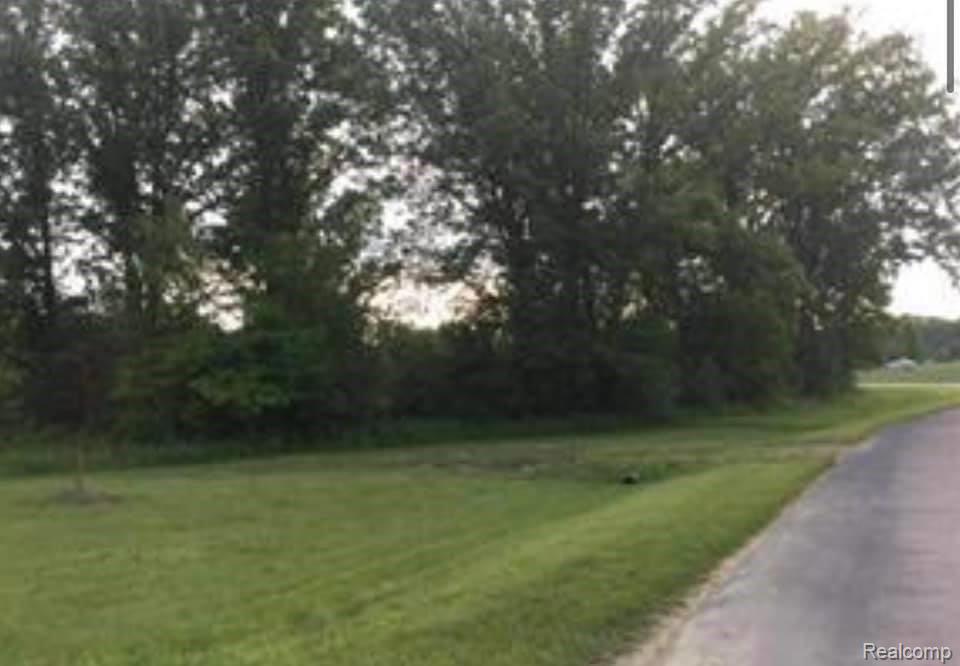 0 Kensington Road Pleasant Ridge, MI 48069 - Photo 4 of 6