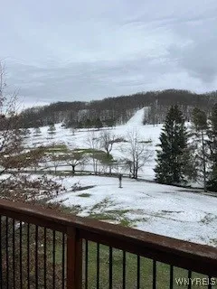 $107,000 | 6447 Holiday Valley Road, Unit 321/3234, Ellicottville, NY 14731