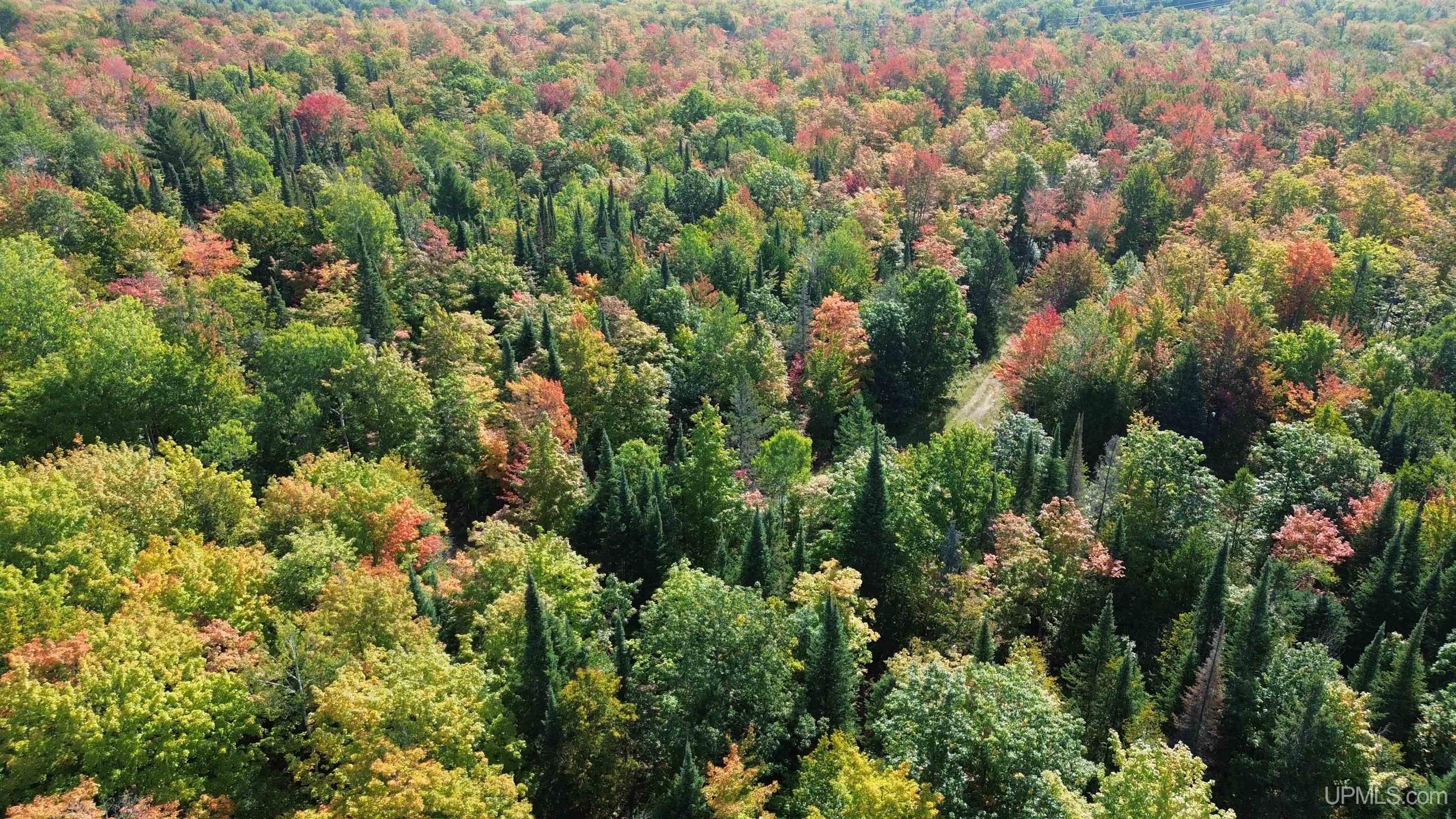 Tbd Tbd Baltic Onkalos Corner Road South Range, MI 49963 - Photo 6 of 37