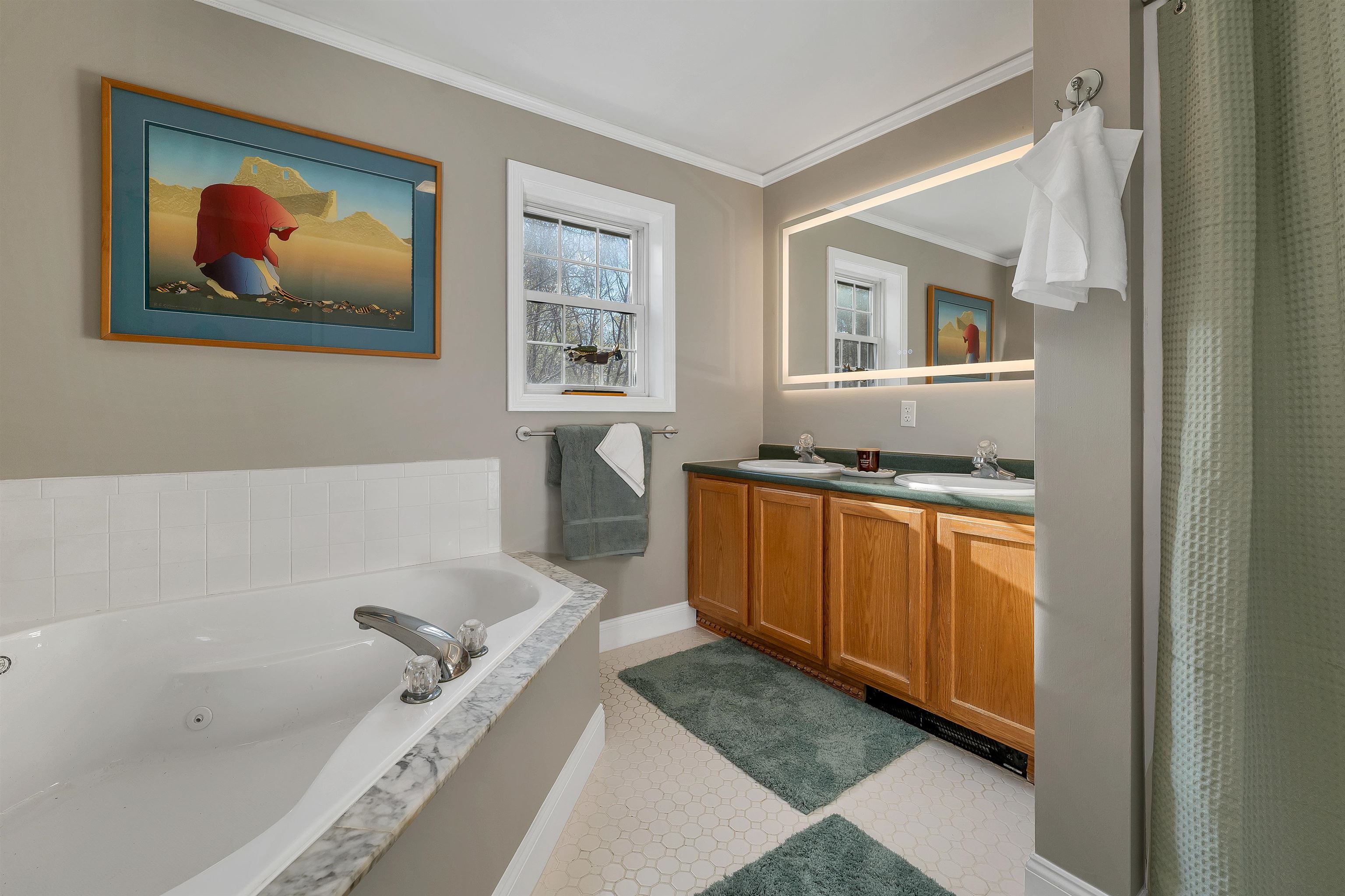 58 Pointe Trinity Drive Strafford, NH 03884 - Photo 34 of 59
