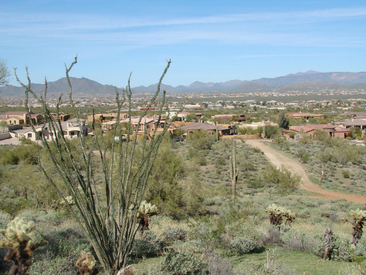 52 West Rock View Road, Unit 105D Phoenix, AZ 85085 - Photo 1 of 3 Looking across Parcel to North