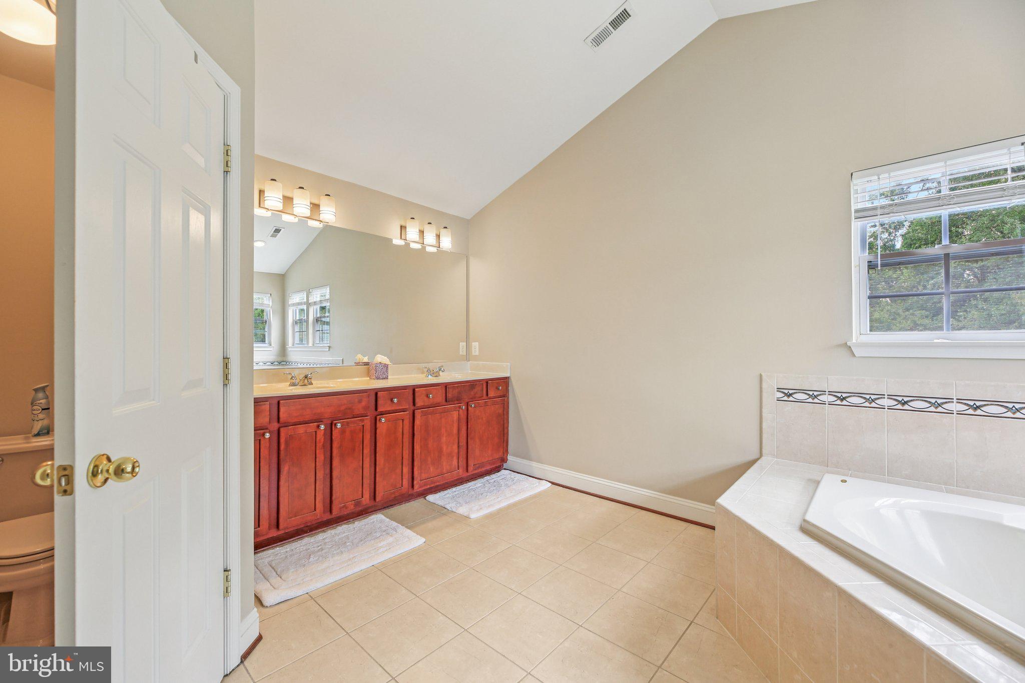 705 Jaclyn Circle Freeland, MD 21053 - Photo 38 of 45 a bathroom with a tub sink and mirror