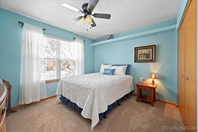 a view of a yard with a snow