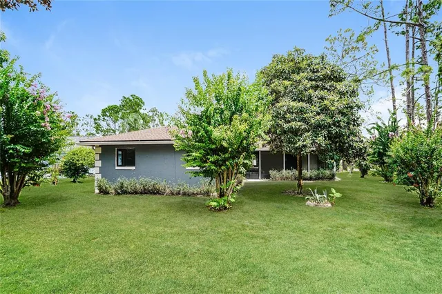 a garden with trees in front of it