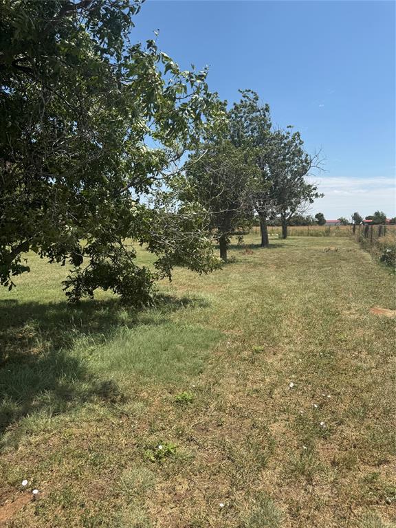 1516 South 8th Street Chillicothe, TX 79225 - Photo 6 of 28 a view of a yard with an trees