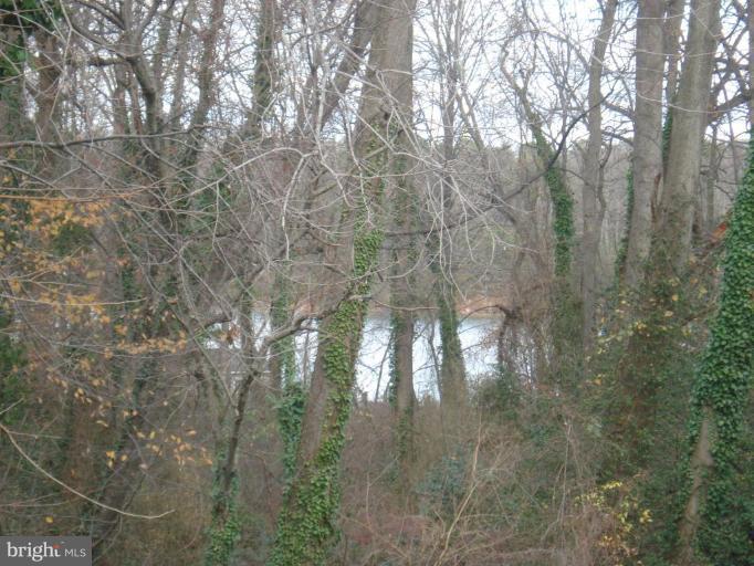 816 Riverside Drive Pasadena, MD 21122 - Photo 3 of 16 WINTER WATERVIEW