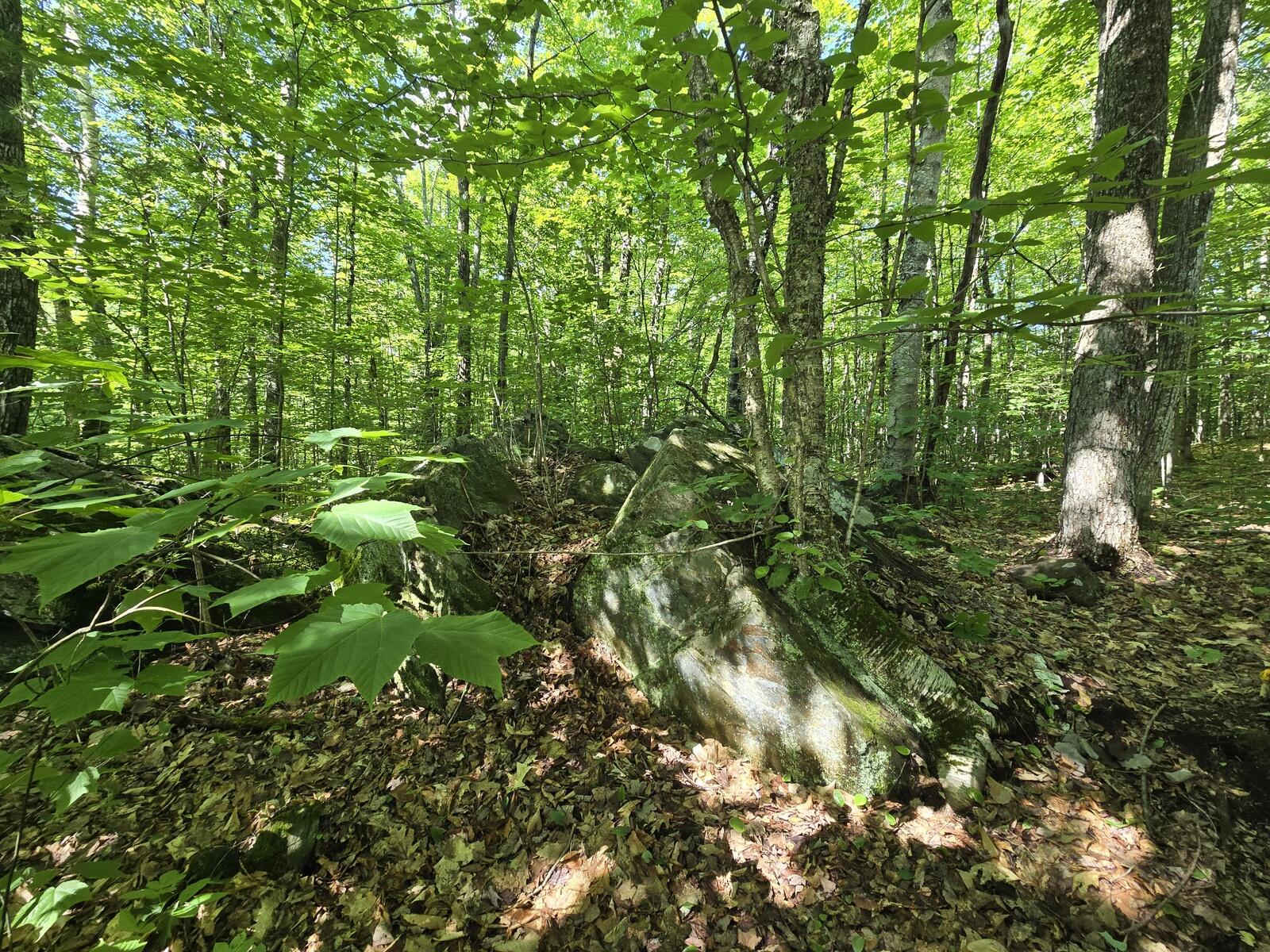Lot 67 Temple Road Temple, ME 04984 - Photo 18 of 23 20260624_094001