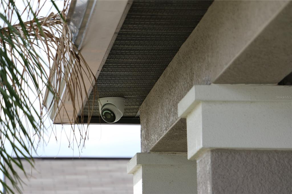 16554 Delia Street Wimauma, FL 33598 - Photo 38 of 44