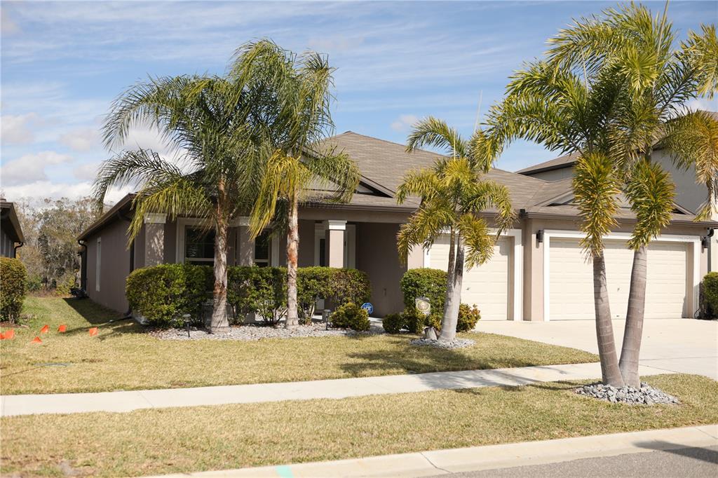 16554 Delia Street Wimauma, FL 33598 - Photo 5 of 44 a front view of a house