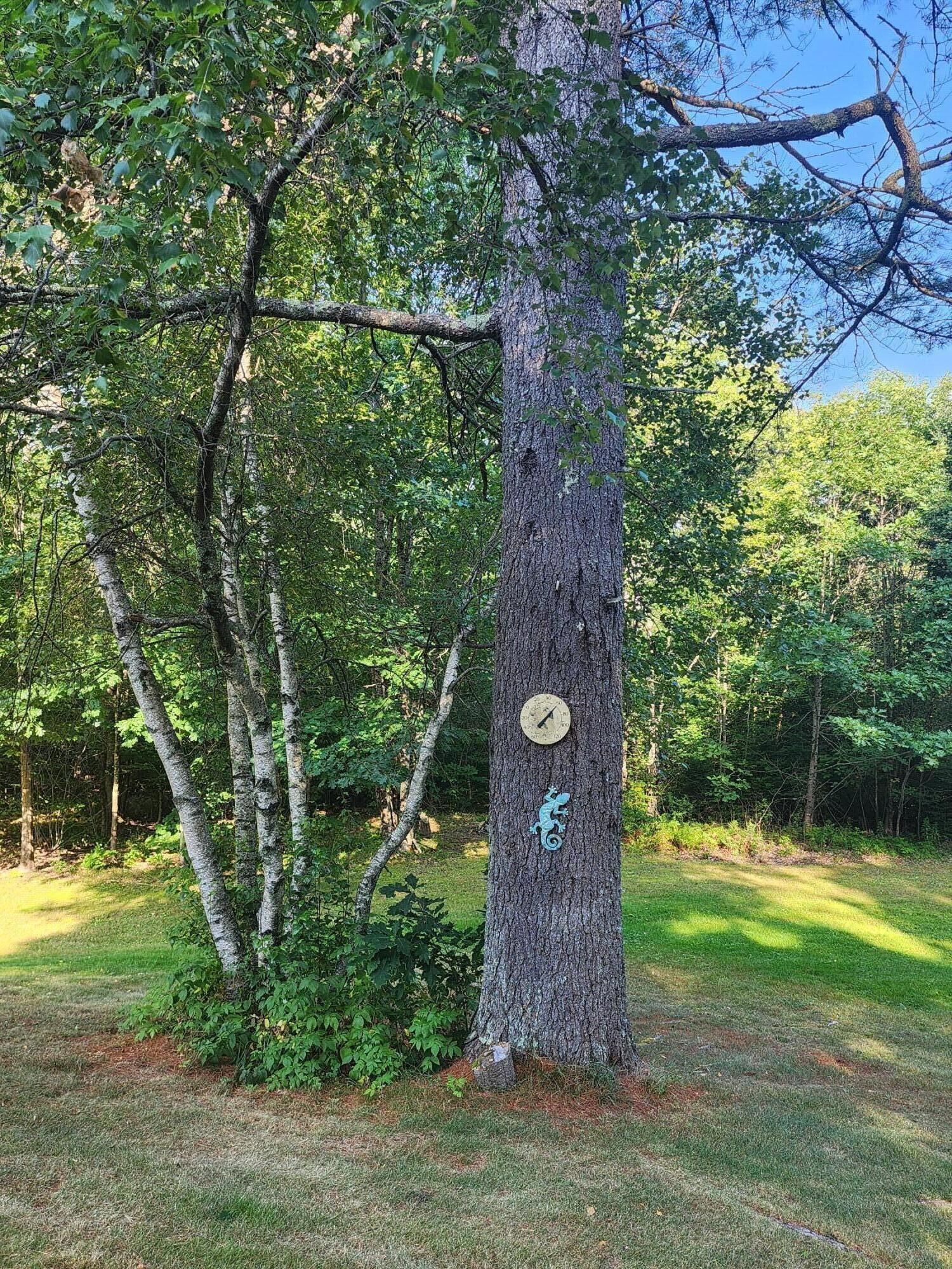 130 Cushing Road Durham, ME 04222 - Photo 5 of 25 Yard 3