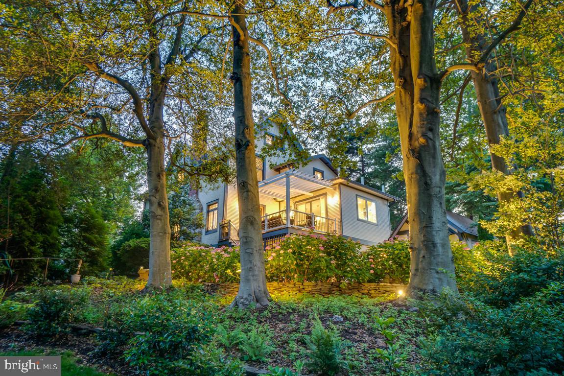 3405 North Glebe Road Arlington, VA 22207 - Photo 40 of 43 Twilight view:Hollies uplit