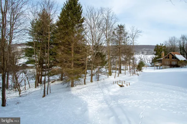 a view of outdoor space with trees