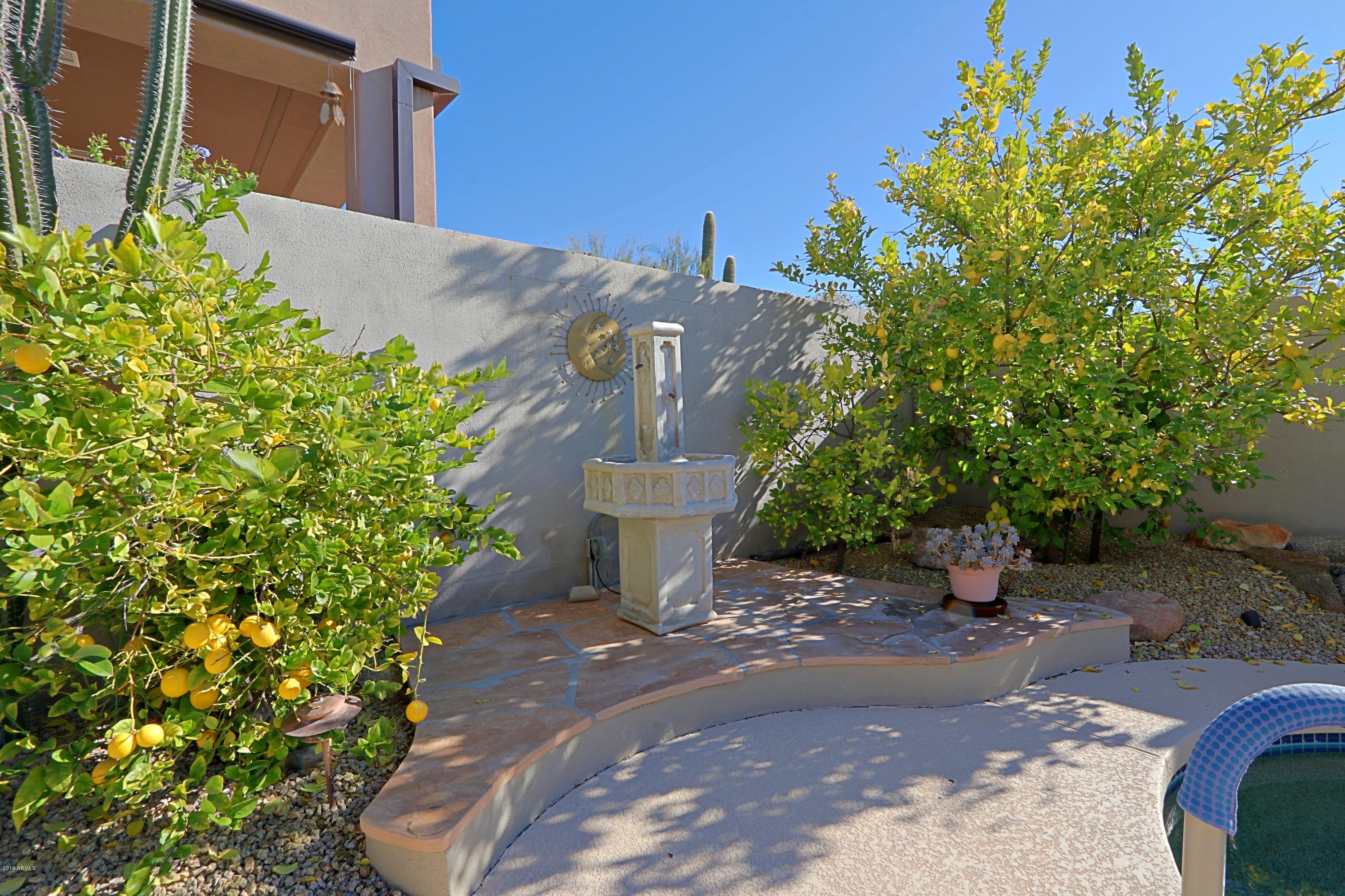 6747 East Eagle Feather Road Scottsdale, AZ 85266 - Photo 32 of 73 Backyard 3