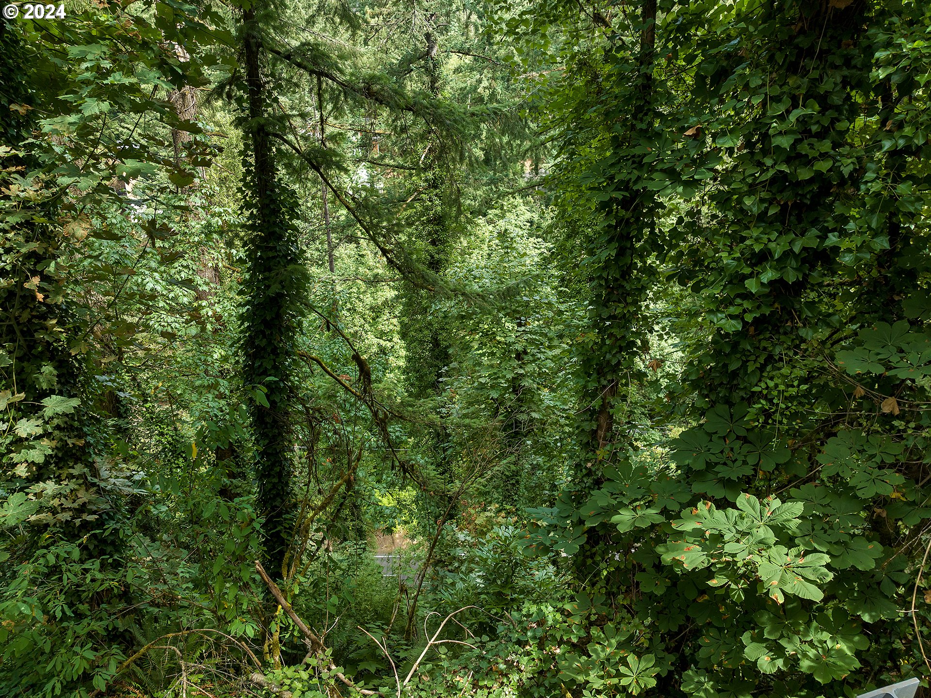 West Burnside Road Portland, OR 97205 - Photo 2 of 8 Green Space
