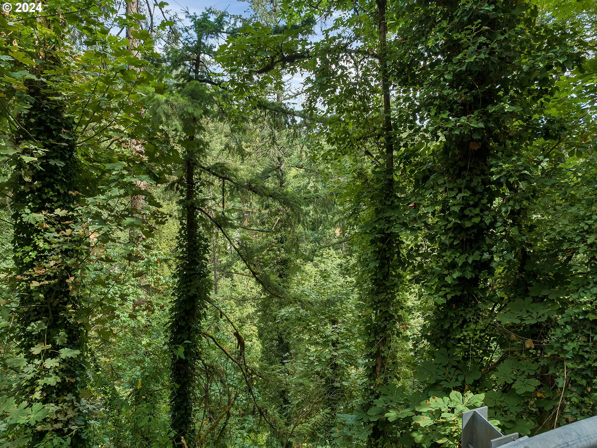 West Burnside Road Portland, OR 97205 - Photo 3 of 8 Green Space
