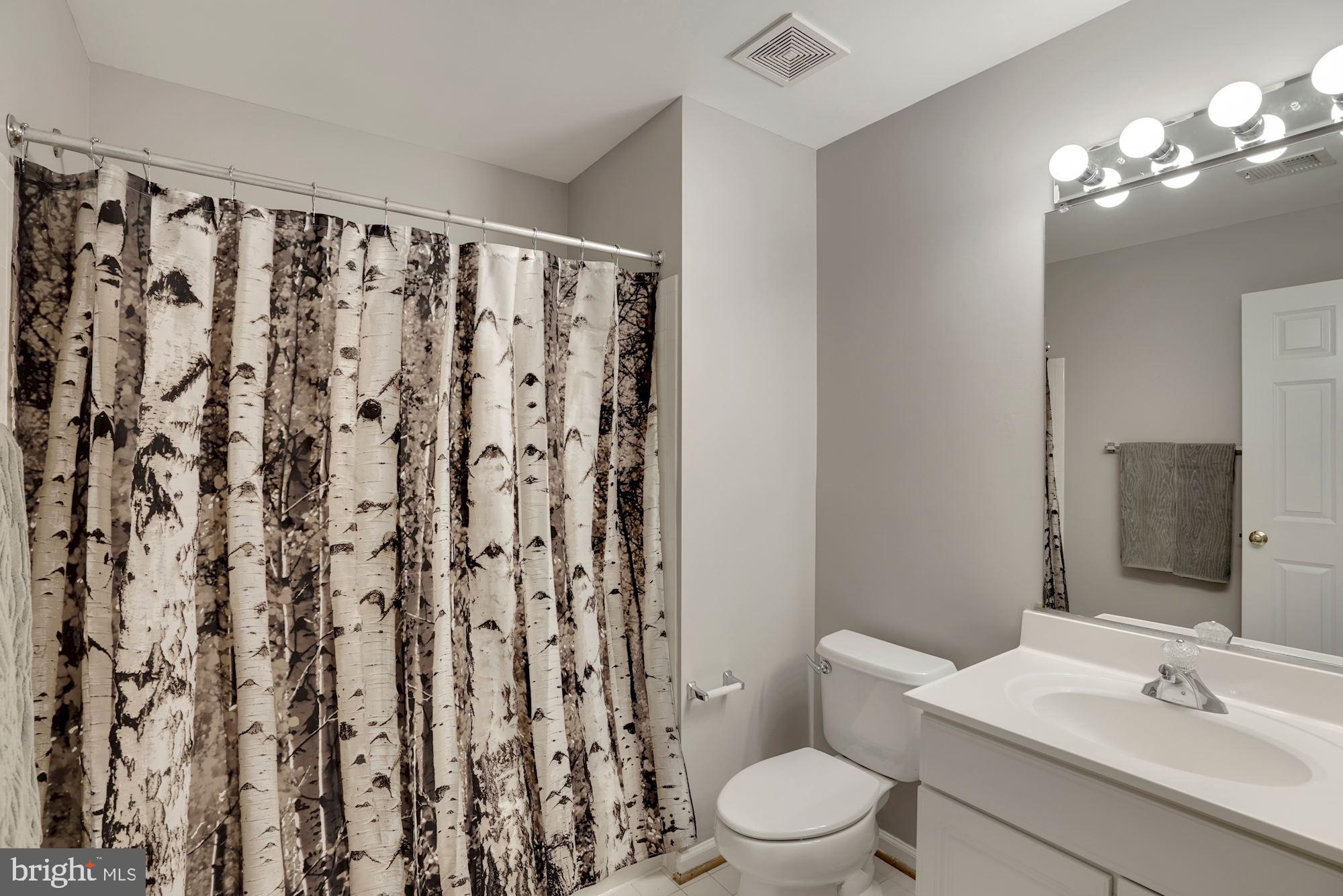 11502 Waterhaven Court Reston, VA 20190 - Photo 20 of 26 Lower Level - Full Bath