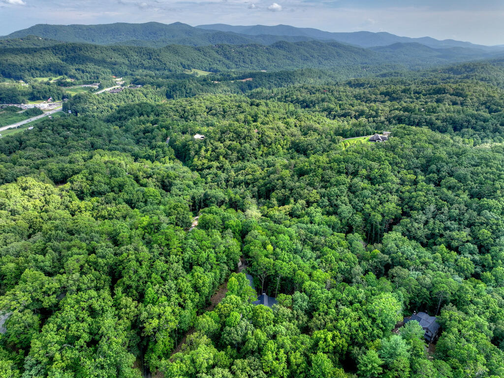 412 Mountain Tops Circle Blue Ridge, GA 30513 - Photo 66 of 66 Gallery Image 66