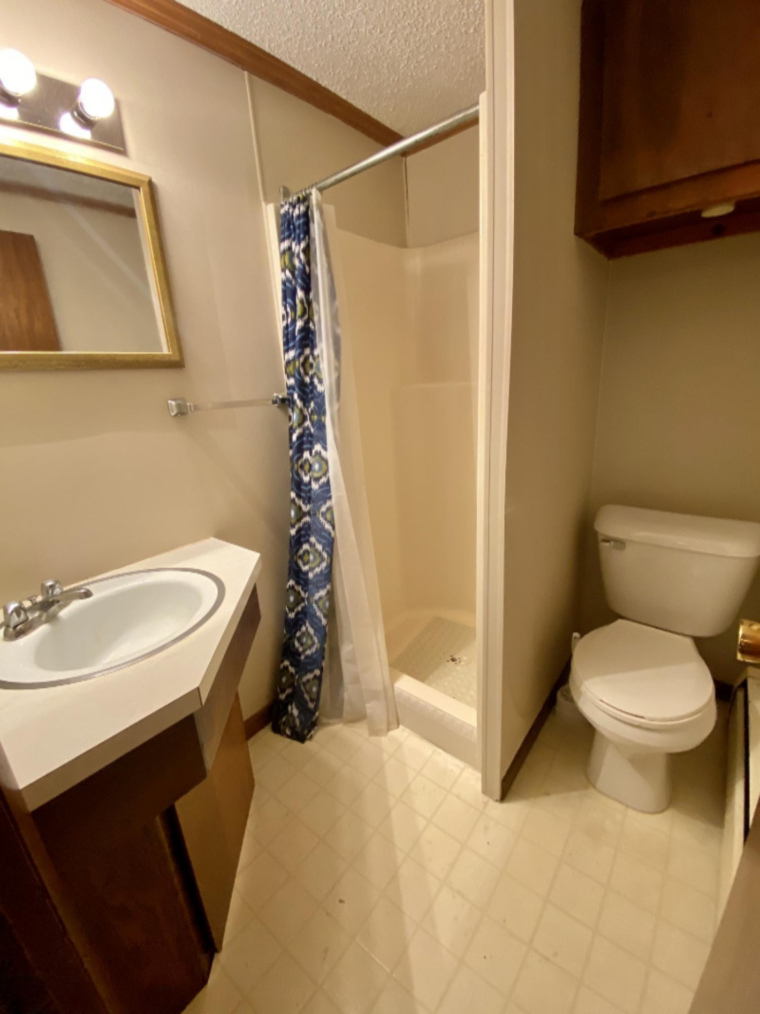 791 Jerry Ray Road Vestaburg, MI 48891 - Photo 12 of 27 IMG_E0493