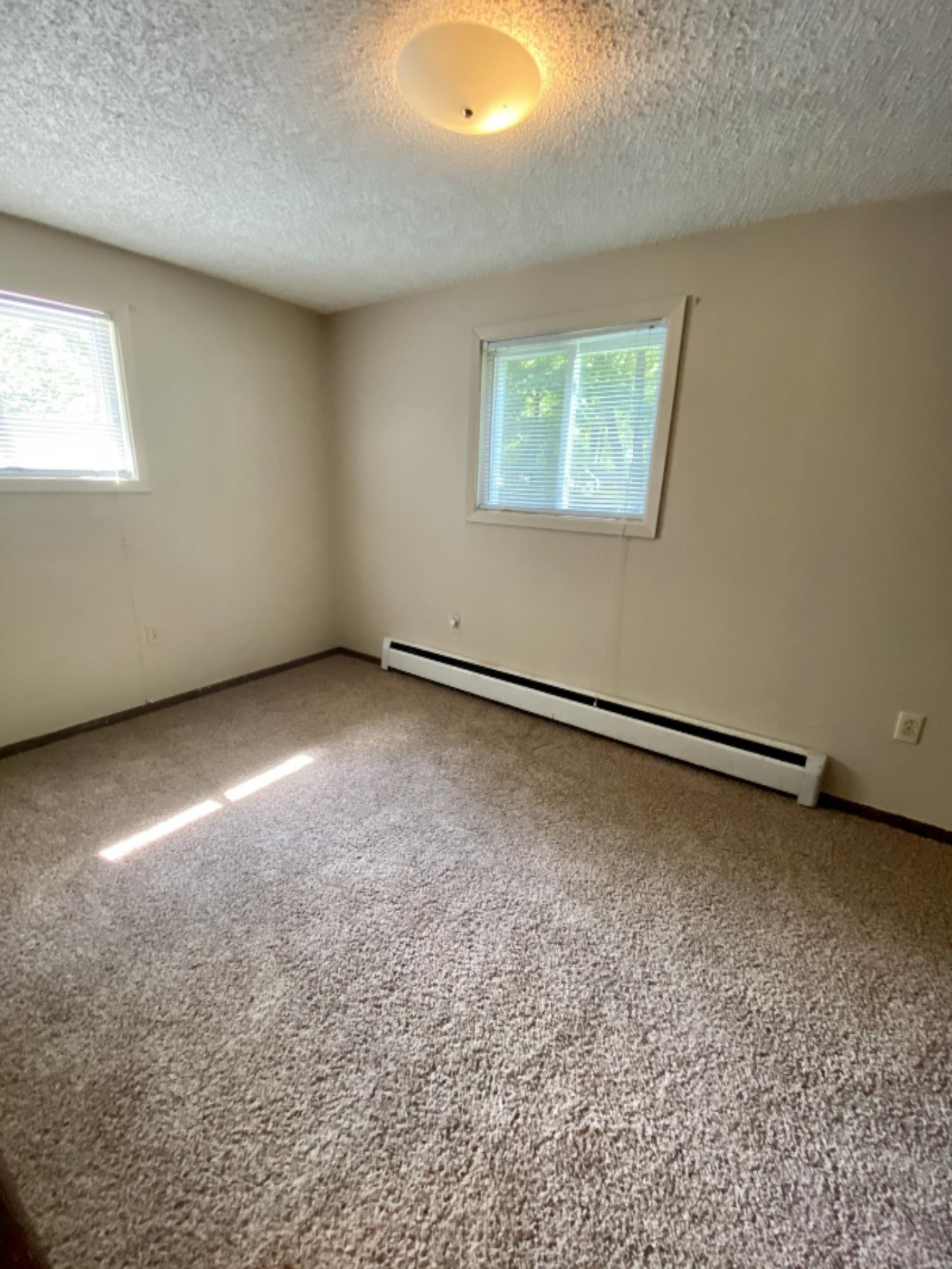 791 Jerry Ray Road Vestaburg, MI 48891 - Photo 13 of 27 IMG_E0490