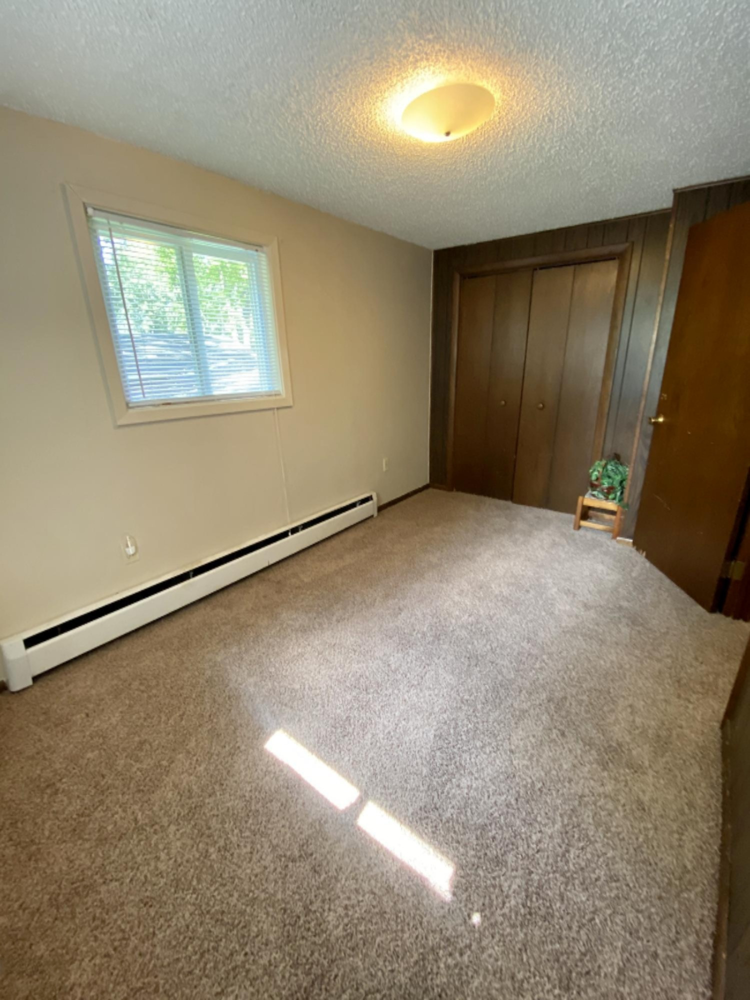 791 Jerry Ray Road Vestaburg, MI 48891 - Photo 16 of 27 IMG_E0494